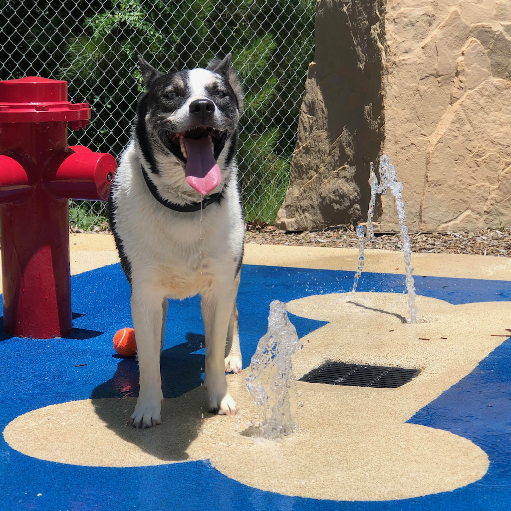 splash-pad