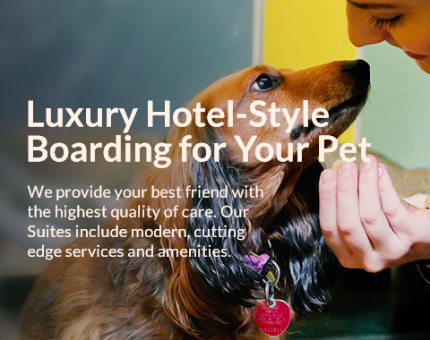 Luxury Boarding Mobile Slider Image