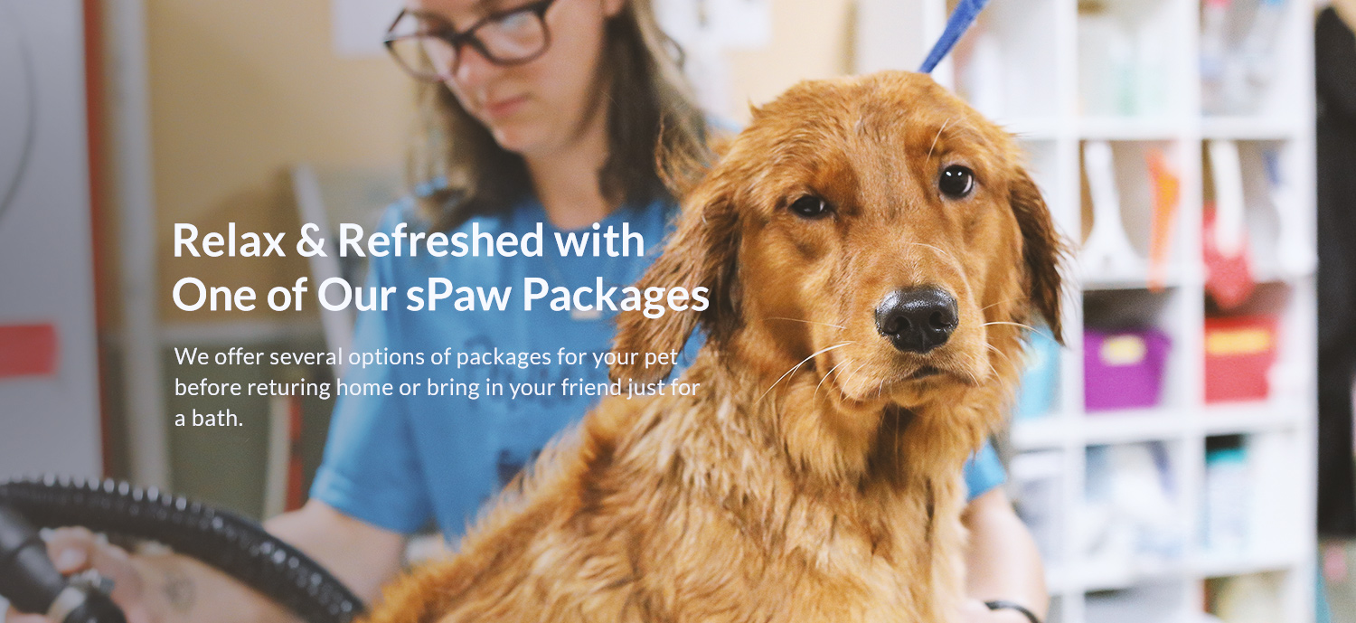 sPaw Packages Slider Image